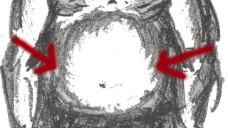 bauchfett weg rezepte