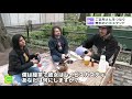 The Tea Stand on Japanese Morning News