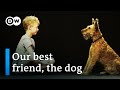 Dogs & us - The secrets of an unbreakable friendship | DW Documentary