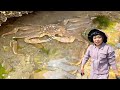 [ENG SUB] Xiao Zhang rushed to the sea  and huge spider crabs appeared on the sea! Also caught a lo