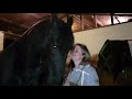 Horse pulls owner close for a hug