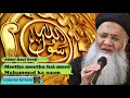 Meetha Meetha Hai Mere Muhammad Ka Naam - Urdu Audio Naat - Abdul Rauf Roofi