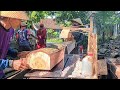 The process of felling trees until they are chopped into ribs and mahogany planks
