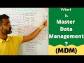 What is master data management(MDM) | mdm architecture & products (2022)