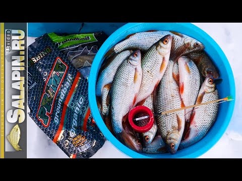 ловля плотвы на мормышку на рыбинском водохранилище ловля плотвы на мормышку на рыбинском водохранилище