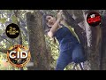 A Secret Clue Hidden Among The Trees In The Jungle | CID | Family Ties | सीआईडी