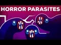 The Most Gruesome Parasites – Neglected Tropical Diseases – NTDs