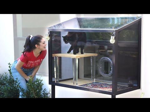Is a stylish catio possible building a patio for our cat 