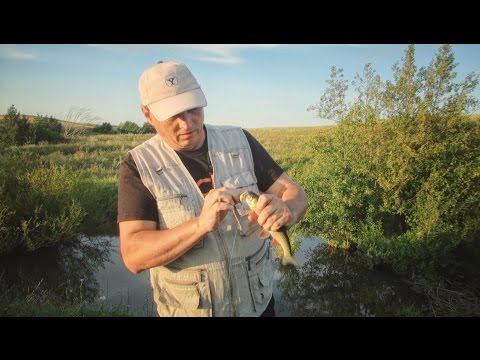 рыбалка на щуку осенью на малых реках видео рыбалка на щуку осенью на малых реках видео