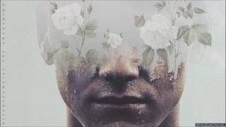 Discrepancies - Not Alone
