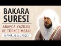Listen to the Arabic writing, pronunciation and meaning of Surah al Baqarah Mahir al Muaiqly