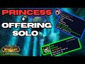 Mara Princess & Wild Offering Paladin Solo Guide | Season of Discovery P3