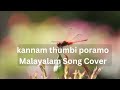 Kannam thumbi poramo/Malayalam Song Cover | Singer Soul