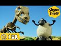 Shaun the Sheep 🐑 Dinosaur Bone Discovery & MORE 🦖 Full Episodes Compilation