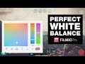 How to Get Perfect White Balance in FiLMiC Pro (iOS & Android)