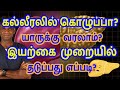 Fatty liver Disease - Natural Ways to Prevent / Reverse & Cure It - Dr.P.Sivakumar - In Tamil