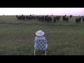 Serenading the cattle with my trombone (Lorde - Royals)