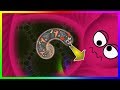 Wormate.io Tiny Worm Pro Escape From Huge Monster Worm Wormateio Epic Trolling Gameplay