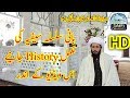 Searat and History Peer Saif Ur Rahman Mubark (R.A) By Sahibzada Hassan Pacha and Bashir Ahmad Saifi
