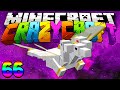 Minecraft Mods Crazy Craft 2.0 "I KILLED LITTLE LACHY!" Modded Survival #66 w/Lachlan