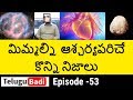 Top 10 Interesting Facts In Telugu You Never Know , Unknown And Amazing Facts , Episode 53