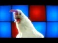 TECHNO CHICKEN [EDITION 2012 - Extended Video] 🎵 ⭐🐓 (by 🌈PapaOurs™🐻)