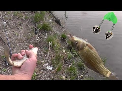 ловля карася весной на донку с кормушкой видео ловля карася весной на донку с кормушкой видео