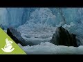 The melting of the ice in Alaska: the beginning of life