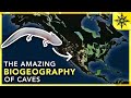 The Amazing Biogeography of Caves