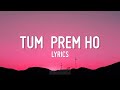 Tum Prem Ho Tum Preet Ho Lyrics Radha Krishn  Mohit lalwani @tseries #radhakrishna