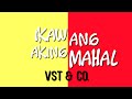 VST& Co. — Ikaw Ang Aking Mahal (Official Lyrics and Chords)