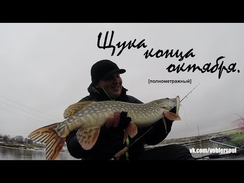 воблеры поздней осенью воблеры поздней осенью