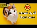 10 تصرفات تفعلها القطط عندما تكون تحبك