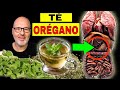 DISEASES that HEAL with OREGANO TEA (HOW TO USE IT)