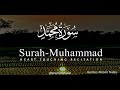 Surah Muhammad سورة محمد |  Calm & Relaxing Quran  | Ahmed Nufais| Practice Halal
