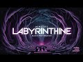 Labyrinthine - Nimitta (Dark Psytrance)