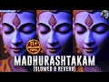 Adharam Madhuram (Slow + Reverb) | Krishna Bhajan | Bhakti Song | Bhajan SongMadhurashtakam 🔥🔥