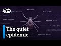 Lyme disease and the fight for recognition | DW Documentary