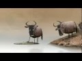 WhatsApp Videos::Very Very Funny Message Dont Miss It