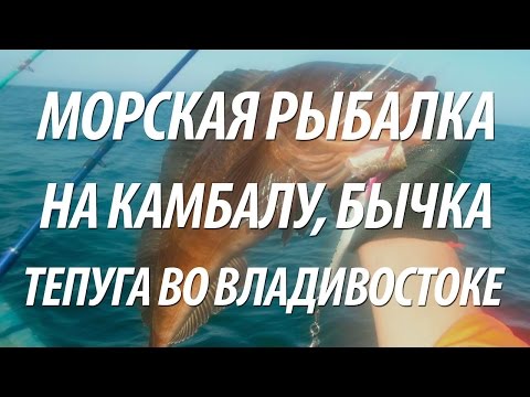 как ловить терпуга во владивостоке как ловить терпуга во владивостоке