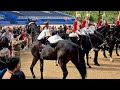 SHOCKING: Incident at Horse Guards Parade