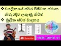 Violin lessons in Sinhala 4 - How to play basic notes (මූලික ස්වර වාදනය සහ ස්වර ස්ථාන ලකුණු කිරීම)