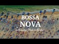 Morning Bossa Nova 🐳 Beautiful Relaxing Beach Music