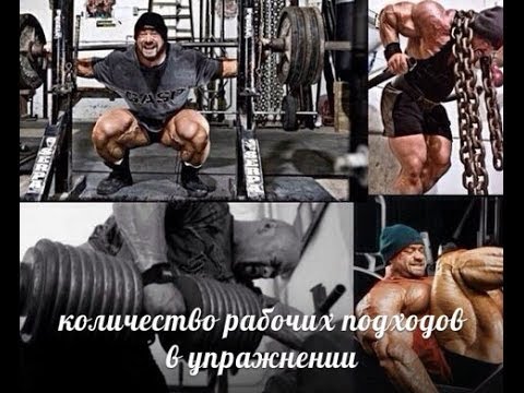Как определить сколько подходов сделать за тренировку Как определить сколько подходов сделать за тренировку