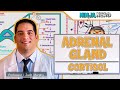 Endocrinology | Adrenal Gland: Cortisol
