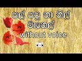 Sal Sapu Na Karaoke (without voice) සල් සපු නා නිල් මානෙල්