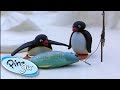 Pingu Goes Fishing With His Family! 🐟 @Pingu  1 Hour | Cartoons for Kids