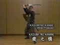 Togakure Ryu Biken - Biken Kamae