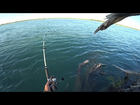 видео ловля жереха в казахстане видео ловля жереха в казахстане