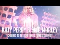 Katy Perry - Chained To The Rhythm (DJ Linuxis Remix)